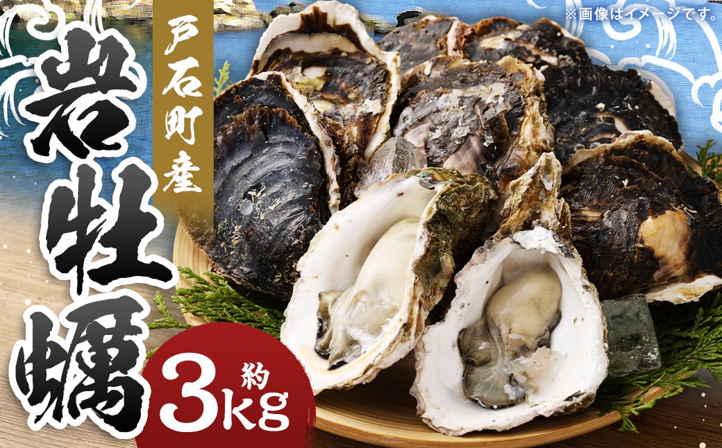 【指定日時必須】戸石町産 岩牡蠣 計約3kg（生食用／カキナイフ付き）【2025年5月8日～9月21日迄発送予定】 牡蠣 カキ イワガキ 生牡蠣