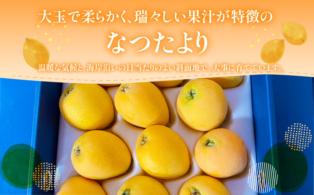 å
è¡äºçŽ ææ·ããªã€ãããã1kg ïŒ æç© ãã ãã® ãã«ãŒã ã㯠ã³ã é·åŽç é·åŽåž ãªã³ã©ã€ã³æ±ºæžéå® ã2026幎5æäžæ¬ïœäžæ¬è¿çºéäºå®ã