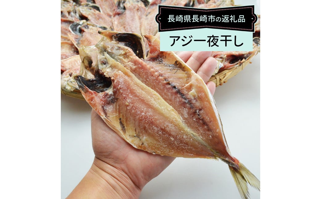 【全12回定期便】【最長2ヵ月前後】長崎産 真アジ一夜干し たっぷり21尾 ／ 海鮮 魚介 干物 ひもの あじ 鯵 アジ 長崎県 長崎市