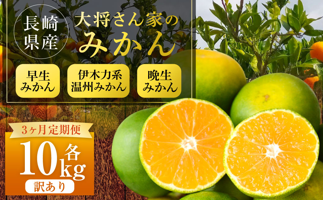 【年3回定期便（11月・12月・1月配送）】早生みかん 伊木力系温州みかん 晩生みかん 各10kg 3回 定期便 ワケアリ 訳アリ みかん フルーツ 果物 長崎県 長崎市