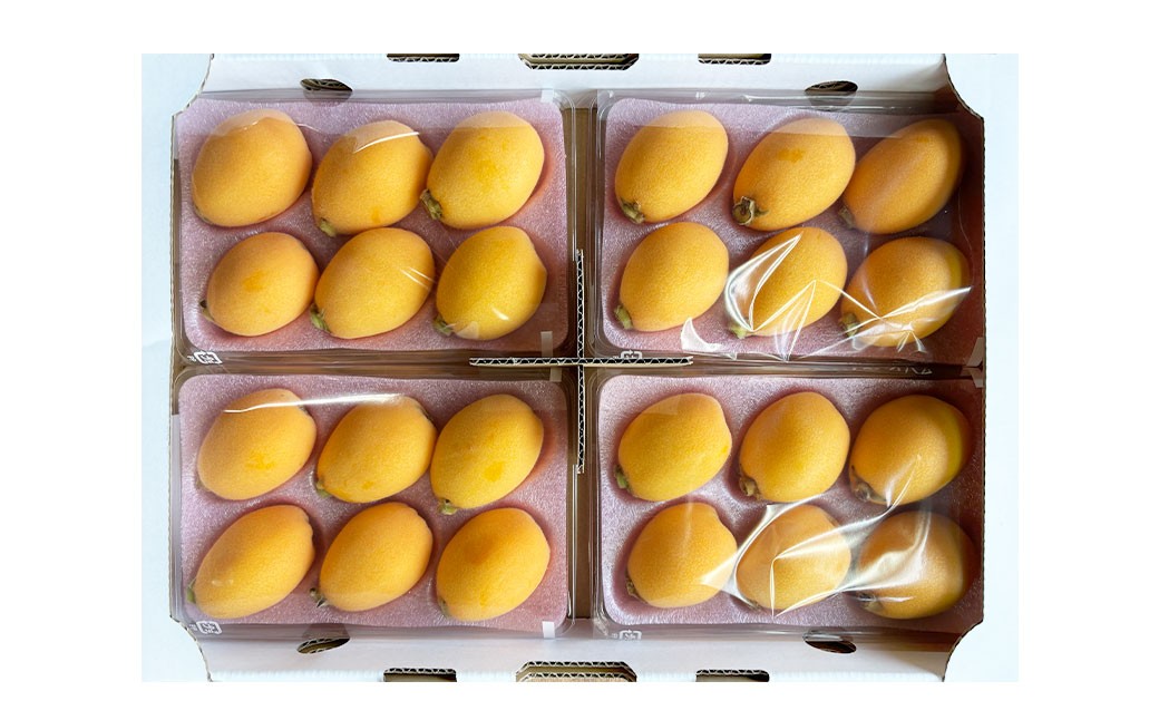 長崎市産びわ 1kg 24個入 【2026年4月下旬～5月下旬発送予定】 びわ ビワ 果物 くだもの フルーツ 国産 国産フルーツ 常温 長崎県 長崎市