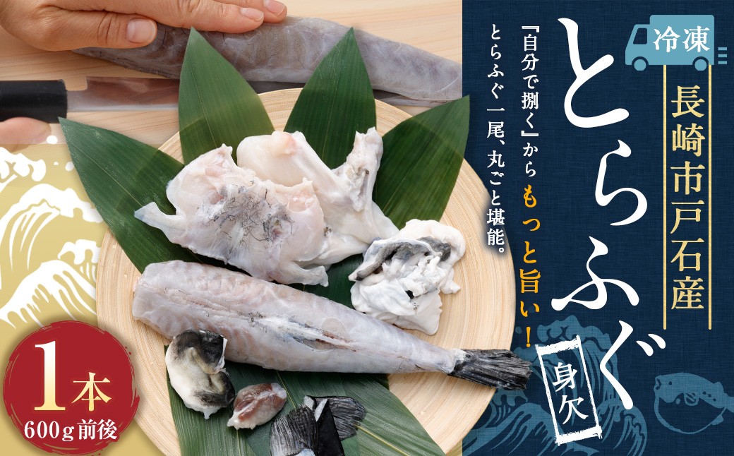 戸石町産とらふぐ 身欠1本もの （600g前後） 【2026年11月上旬～2027年3月下旬発送予定】 魚 魚類 フグ ふぐ 河豚 とらふぐ 身欠 国産 長崎県産
