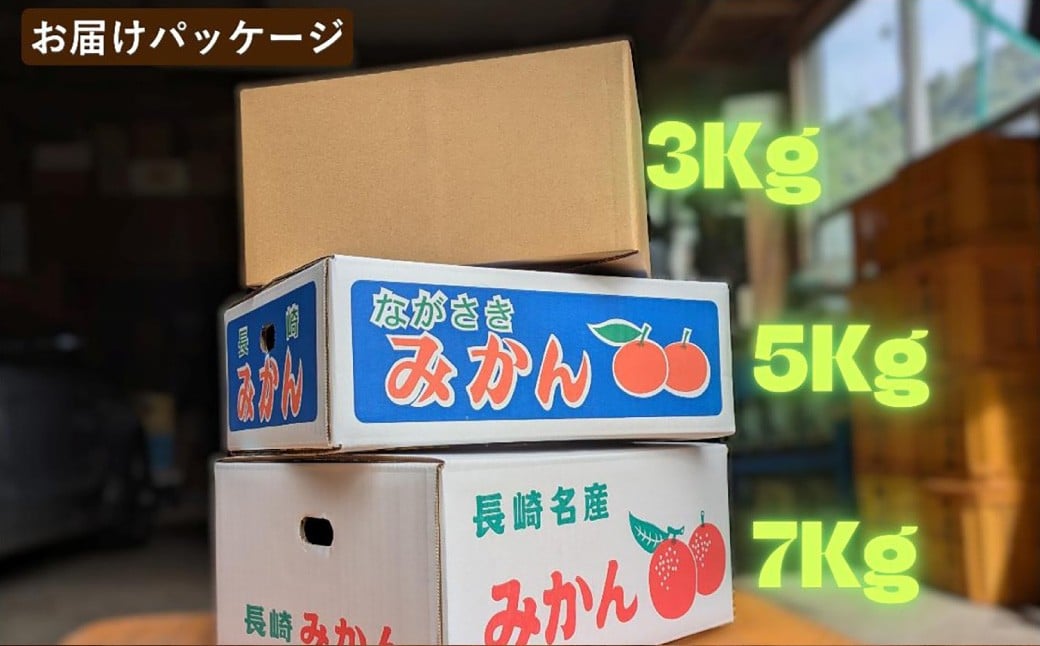 ★受付期間限定★【樹上完熟】 長崎みかん （普通温州） 約3kg 温州蜜柑 温州みかん 蜜柑 みかん ミカン 果物 果実 フルーツ 完熟 長崎県 長崎市 常温 【2025年12月下旬～2026年1月下旬発送予定】