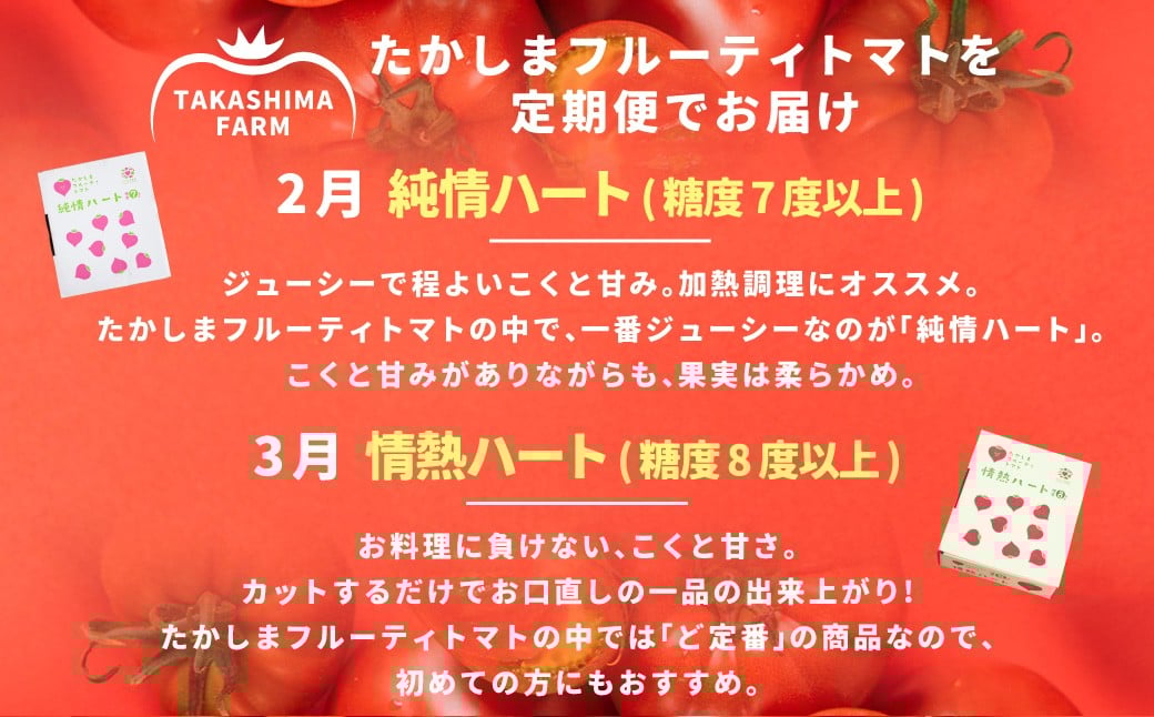たかしまフルーティトマトの小箱コース 【年4回定期便（2／3月／4月／5月配送）】 ／ 情熱ハート ハートの女王 五月の初恋 合計約4.2kg フルーティートマト フルーツトマト トマト とまと 野菜 やさい