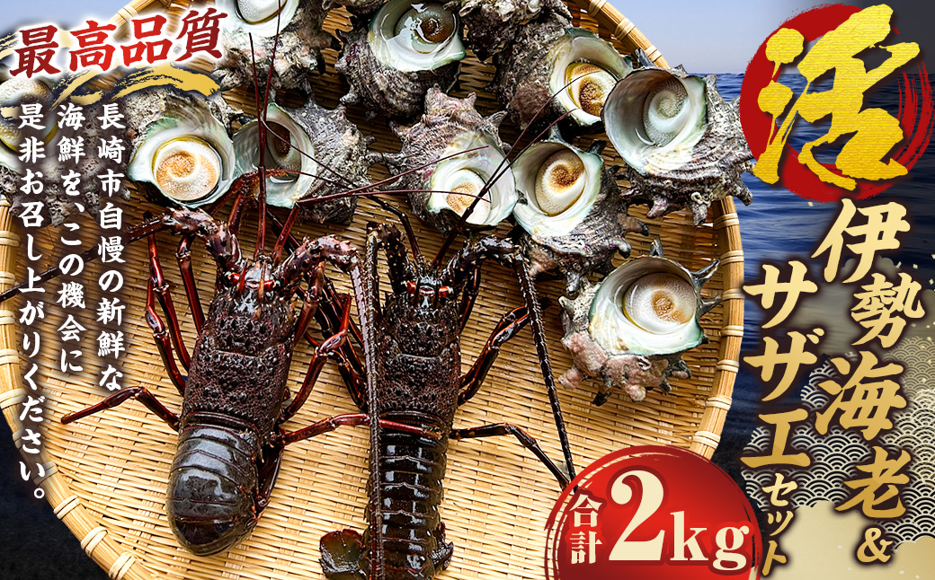 活伊勢海老（イセエビ）0.5kg・活サザエ1.5kg 伊勢海老 エビ サザエ セット 刺身 つぼ焼き 伊勢エビ 旨味 凝縮 生食 新鮮 活締め