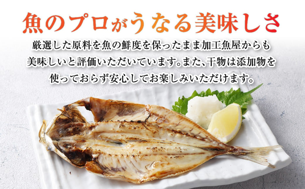 干物 5種 ・【訳あり】漬け魚おまかせ3種 セット 大畑食品 ひもの 魚介類 お魚 魚 厳選