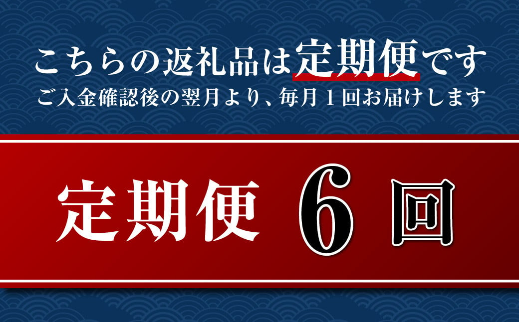 【全6回定期便】長崎五島灘荒波一夜干し 合計17枚 干物 ひもの 海鮮 魚介 海の幸 秘伝の一品 山道水産