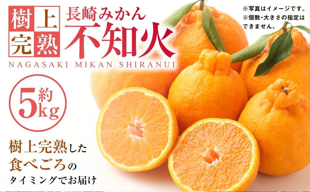 【樹上完熟】長崎みかん（ 不知火 ）約5kg みかん フルーツ 果物 くだもの ミカン 蜜柑 長崎  【2026年2月上旬-4月下旬発送予定】