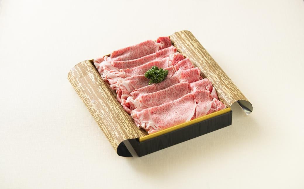 【全6回定期便】長崎和牛 すき焼き肉 約500g ／ 合計3kg 国産 肉 お肉 和牛 長崎県 長崎市