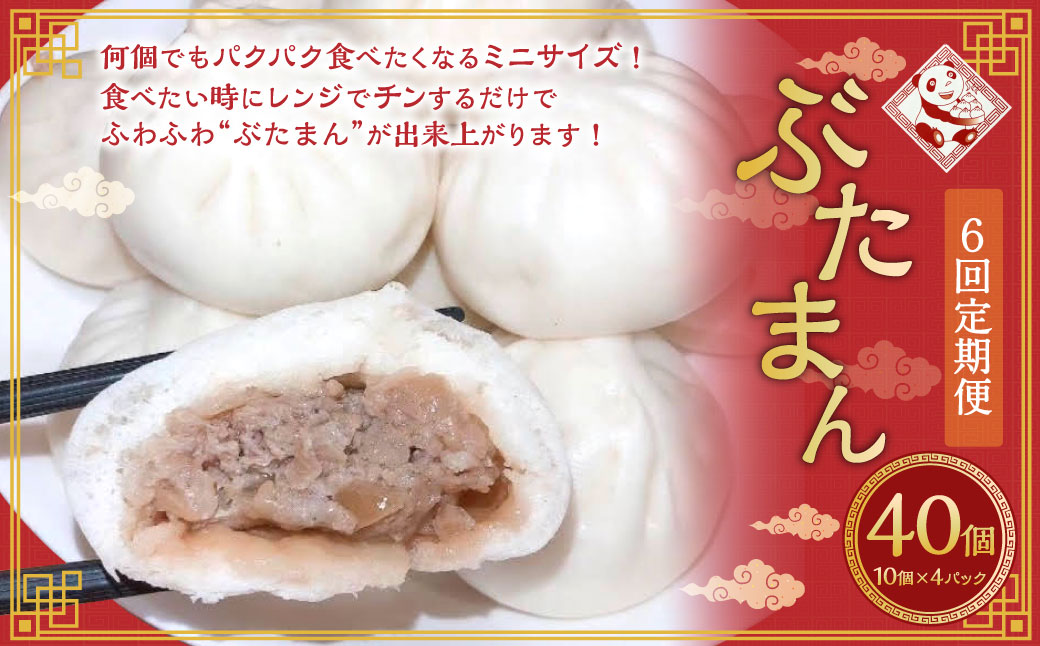【全6回定期便】長崎ぶたまん 40個 (40個×6回) 合計240個 ／ ミニサイズ ぶたまん 豚まん ブタまん 中華まん 肉まん 国産豚 おやつ 朝食 軽食 レンジ 冷凍 定期便 長崎