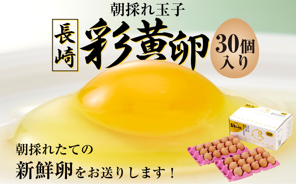 「長崎彩黄卵」 朝採れ玉子 30個入り 鶏卵 採れたて 新鮮卵 たまご タマゴ 冷蔵 長崎