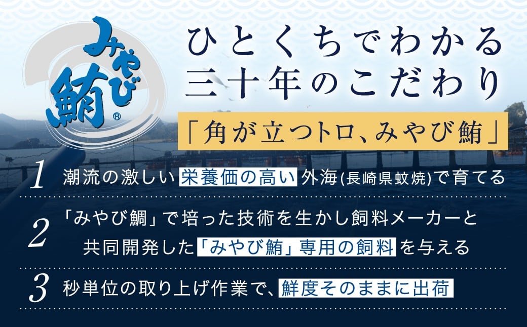 本マグロ大賞受賞 みやび鮪 たたき 約200g （約2〜3人前） ・ 【訳あり】 みやび鮪 切り落とし 端っこちゃん 約300g （約3〜4人前） 合計約500g 訳アリ わけあり 理由あり 鮪 まぐろ 本マグロ 本鮪 本まぐろ タタキ トロ 魚 九州 長崎県 長崎市 冷凍
