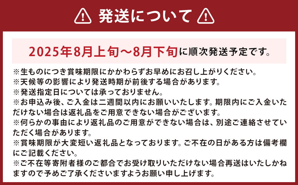 ぶどう食べ比べセット！ シャインマスカット2房、葡萄1房 計3房【2025年8月上旬～8月下旬迄発送予定】葡萄 ぶどう ブドウ シャインマスカット マスカット ピオーネ 巨峰 ナガノパープル 藤稔 ふじみのり 果物 フルーツ 季節の果物 食べ比べ セット 詰め合わせ 詰合せ 長崎県産 長崎市産 長崎県 長崎市 冷蔵