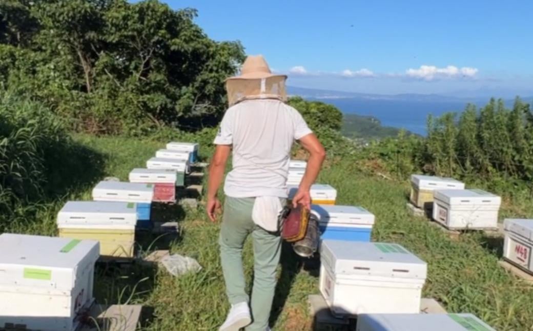 山の花 ハチミツ 400g瓶 × 2本 セット 合計800g はちみつ  蜂蜜 ハニー 非加熱 長崎