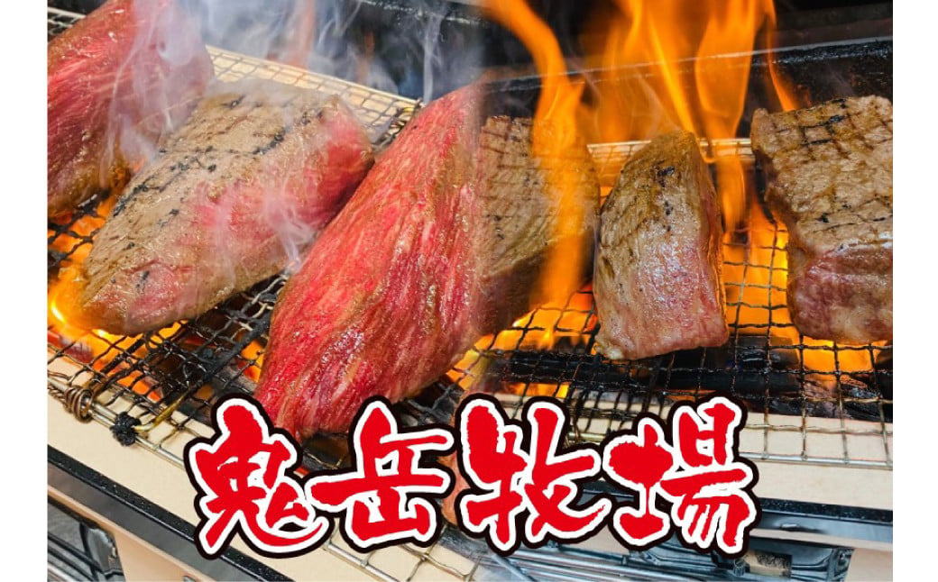 【全3回定期便】長崎和牛 出島ばらいろ レギュラータイプE ／ 和牛 お肉 肉 牛肉 国産 ヒレ サーロイン ブロック ステーキ モモまたはウデ すき焼き用 長崎県 長崎市