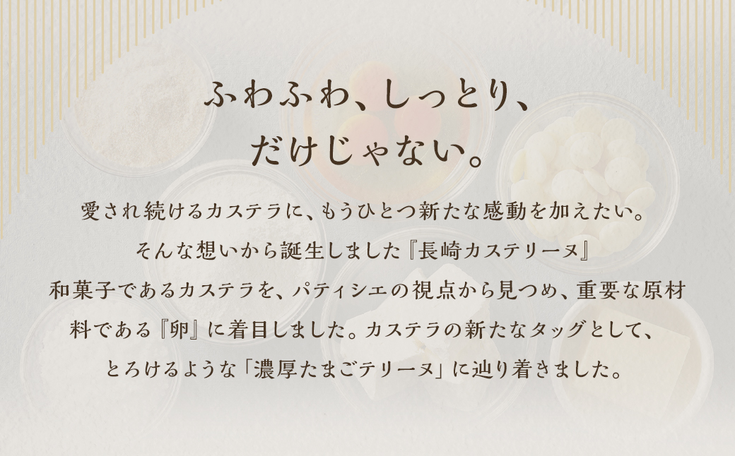【14営業日以内発送】長崎カステリーヌ 2個セット 計600g (約300g×2)  ／ タカナヤ カステラ かすてら スイーツ デザート お菓子 菓子 長崎県 長崎市