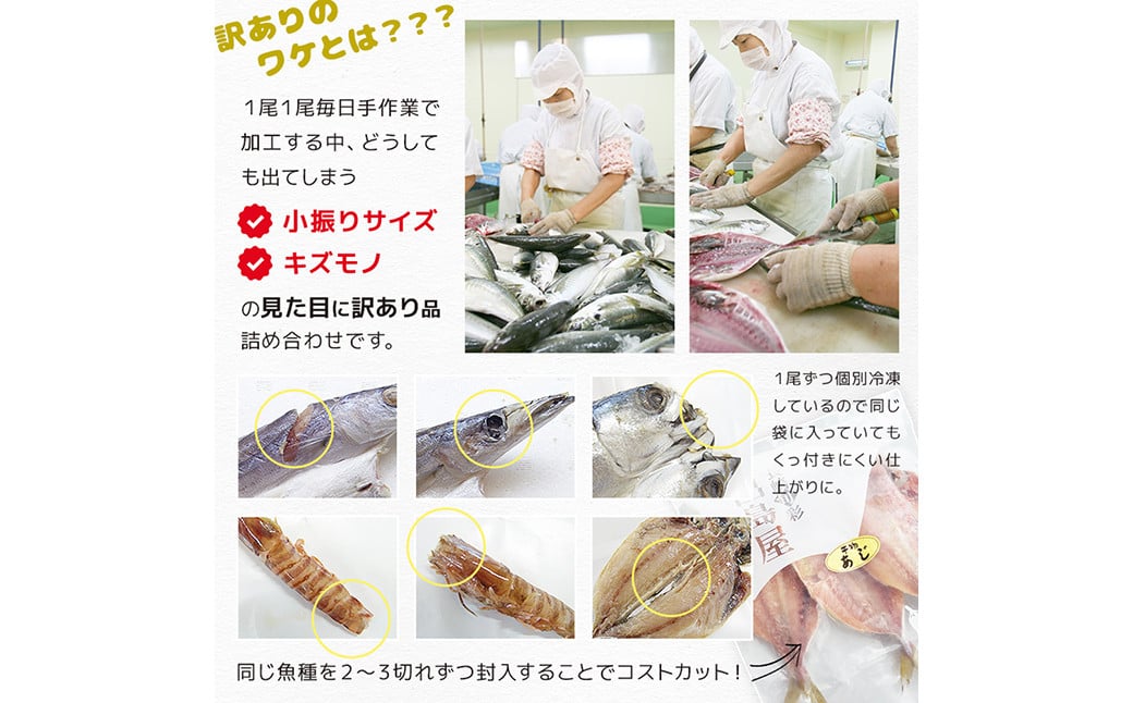 【全12回定期便】長崎加工 訳ありおまかせ干物 4種類 (12枚) と カラスミ詰め合わせ ／ わけあり ワケアリ 理由あり 干物 からすみ 訳アリ 定期便 長崎県 長崎市