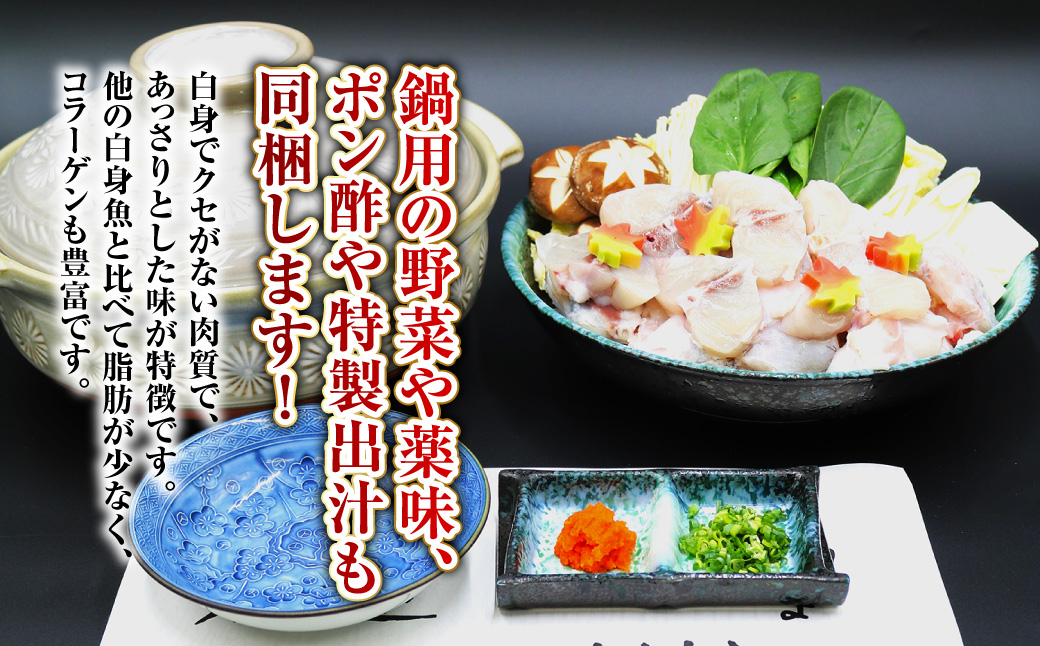 【7営業日以内発送】長崎とらふぐ鍋2人前 ／ 海鮮 フグ ふぐ てっちり 鍋 鍋セット ふぐ鍋 海鮮鍋 長崎県 長崎市
