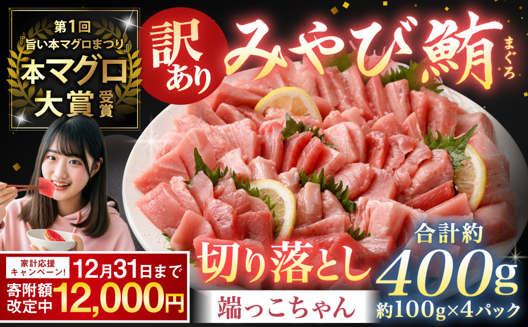 【期間限定！〜12月31日まで寄附額改定中】訳あり みやび鮪 切り落とし 端っこちゃん 計約400g（約100g×4） 4〜5人前 ／ マグロ 鮪 トロ 本鮪 本マグロ 本まぐろ 冷凍まぐろ 冷凍鮪 まぐろ 赤身 トロ 鮪赤身 鮪トロ 国産鮪 国産まぐろ 切落し きりおとし 魚 海鮮 刺身 刺し身 冷凍 長崎 長崎県 長崎市