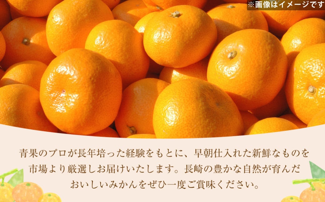 温州みかん 約5kg 柑橘 みかん 蜜柑  果物 くだもの フルーツ 果実 デザート 【2024年12月上旬-2025年1月下旬発送予定】