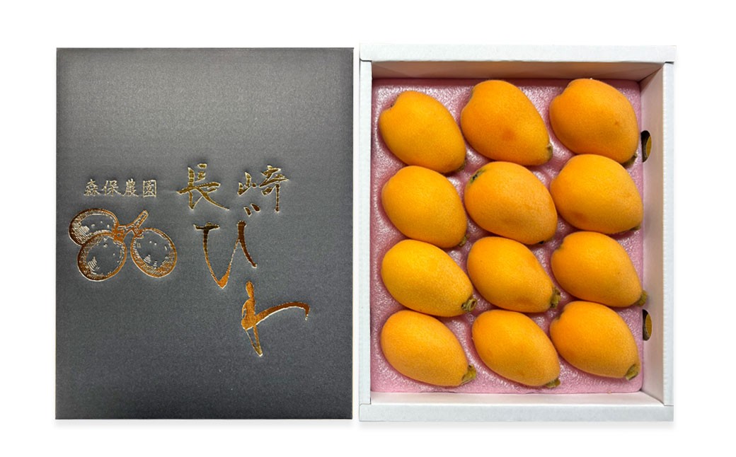 長崎市産びわ500g L玉サイズ（12個入） 贈答用箱入り 【2026年4月下旬～5月下旬発送予定】 びわ ビワ 果物 くだもの フルーツ 国産 国産フルーツ 常温 長崎県 長崎市
