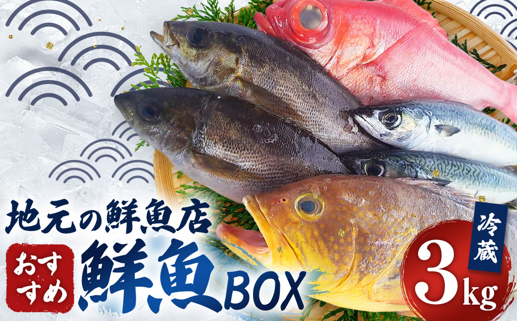 長崎産 地元の鮮魚店 おすすめ 鮮魚 BOX 3kg 魚 お魚 海鮮 魚介 新鮮 カト健 長崎