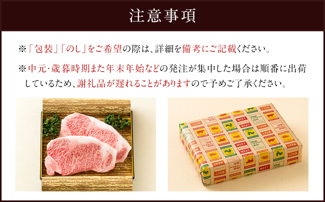 長崎和牛サーロインステーキ2枚セット 合計500g （250g×2枚） ／ 国産 ソース付き ステーキ 肉 お肉 和牛 