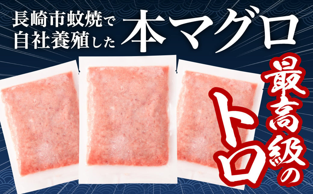 本マグロ 大賞受賞 みやび鮪 たたき 計約600g (約6～7人前) ／ 鮪 まぐろ マグロ 刺し身 刺身 本まぐろ 本鮪 冷凍 魚 魚介 タタキ まぐろタタキ 海鮮丼 おすすめ 長崎市