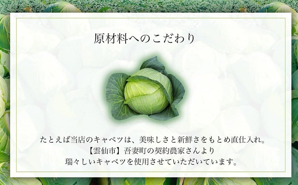 《具材付》長崎冷凍皿うどん ( 4食 ) ／ 長崎皿うどん 長崎 皿うどん さらうどん 麺 麺類 スープ 具付き 具材付き 小分け 簡単調理 グルメ 冷凍 ひふみ 長崎市