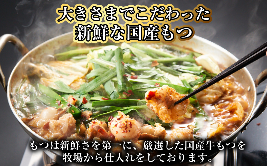 【もつ鍋+炎のもつ鍋】国産牛 長崎 もつ鍋 セット （ 醤油味+辛みそ付醤油味 ） 細麺付 各2〜3人前 2種類 モツ鍋 和牛モツ 国産もつ 鍋 もつ鍋居酒屋ばか正直 長崎