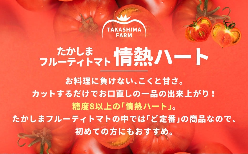 【訳あり】 たかしまフルーティトマト 【糖度8度以上】 「情熱ハート」 約3kg箱×1 ／ フルーティートマト フルーツトマト トマト とまと 高糖度 甘い 野菜 やさい サラダ 【2026年3月下旬～5月下旬発送予定】