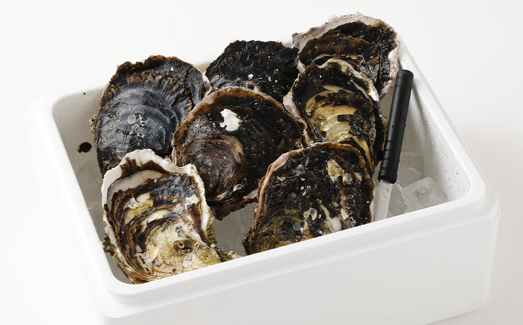 【指定日時必須】戸石産 岩牡蠣 計約2kg（生食用／カキナイフ付き）【2026年5月8日～8月31日迄発送予定】 牡蠣 カキ イワガキ 生牡蠣 長崎県 長崎市