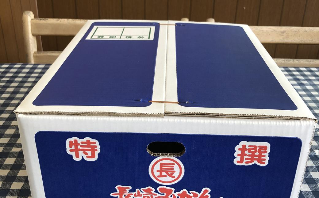 今村温州みかん 計約5kg 長崎市 ／ 松上果樹園 みかん 温州みかん フルーツ 果物 くだもの ミカン 蜜柑 長崎  【2025年1月上旬より順次発送】