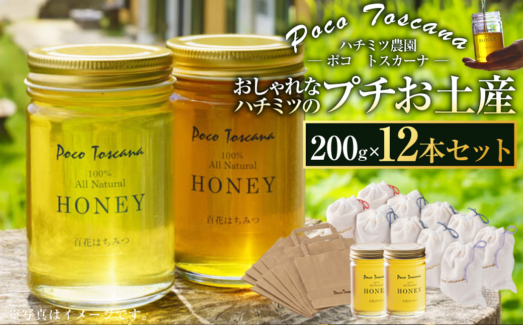 おしゃれなハチミツのプチお土産 200g瓶×12本セット 合計2.4kg ／ 蜂蜜 はちみつ 非加熱 国産 非常食 長期保存 長崎県 長崎市