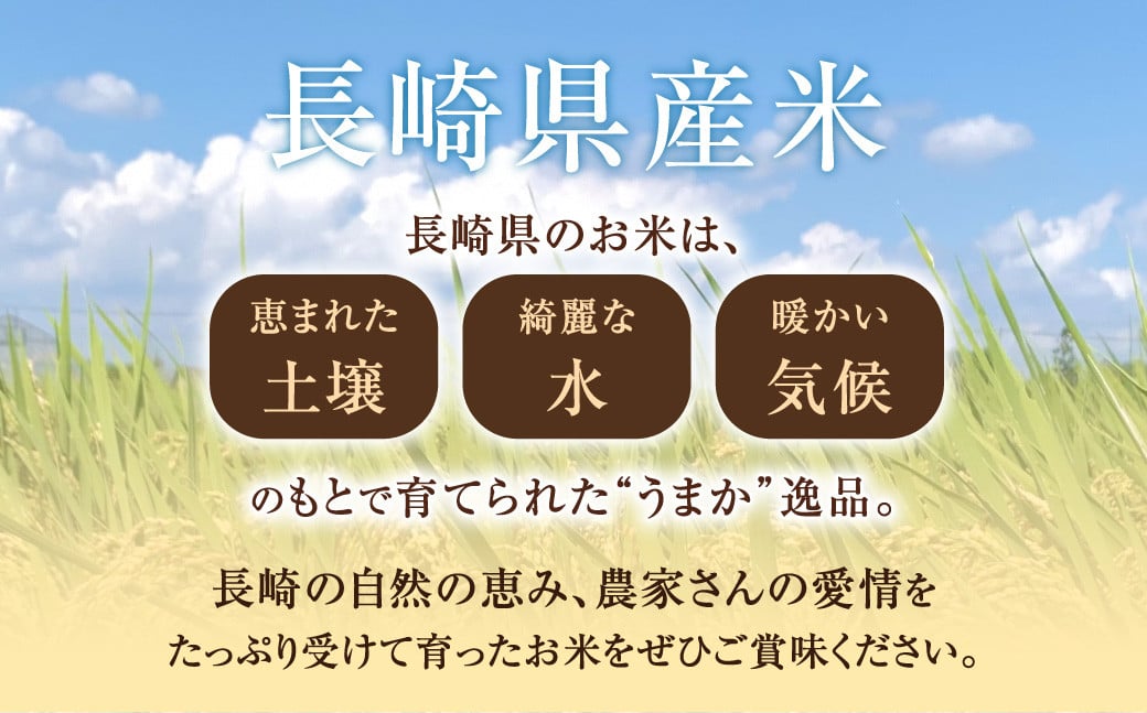 【令和7年産】無洗米 特別栽培米 長崎つや姫 計10kg（2.5kg×4袋） ／ お米 米 おこめ コメ ご飯 ごはん 白米 長崎県産