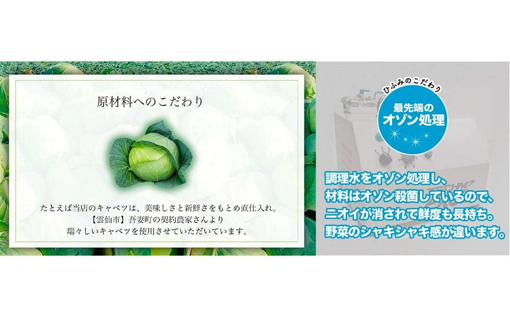 【全12回定期便】交互に届くセット ( 冷凍ちゃんぽん・冷凍皿うどん ) ／ 長崎ちゃん麦 小麦 具材付き 麺 麺類 スープ 野菜 豚肉 長崎 ちゃんぽん 長崎ちゃんぽん ひふみ 長崎 長崎県 長崎市