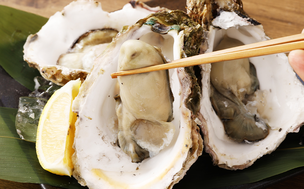 【指定日時必須】戸石産 岩牡蠣 計約2kg（生食用／カキナイフ付き）【2026年5月8日～8月31日迄発送予定】 牡蠣 カキ イワガキ 生牡蠣 長崎県 長崎市