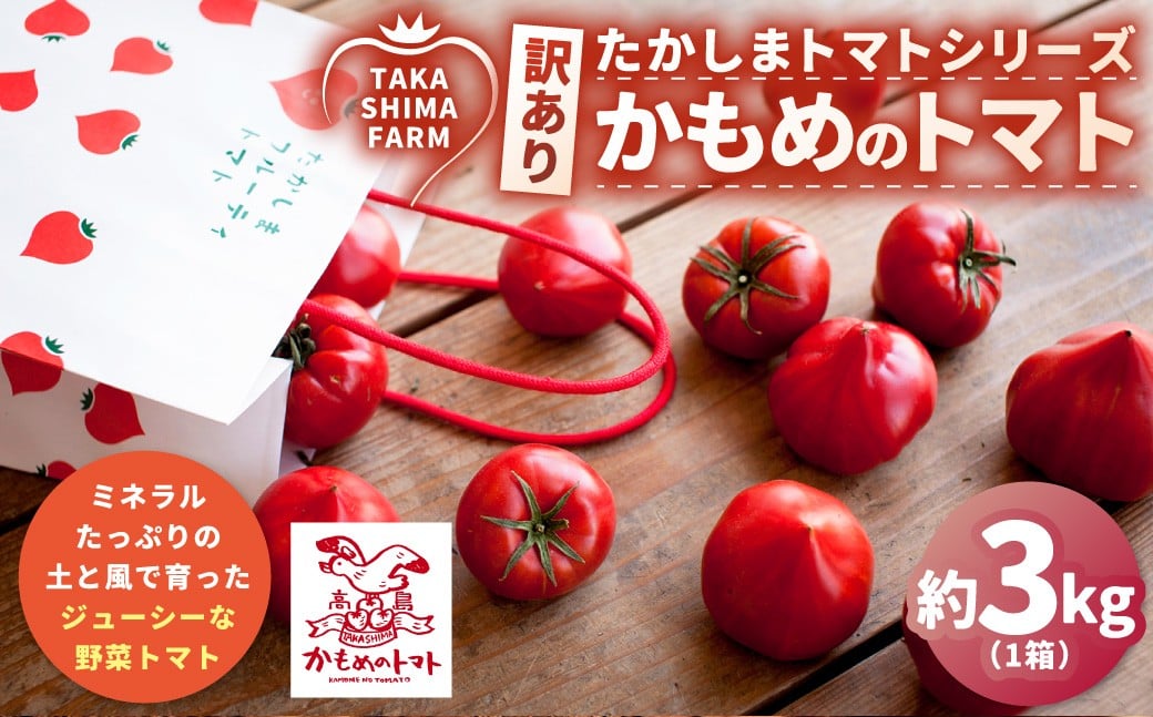 【訳あり】 たかしまトマトシリーズ 【糖度6度以上】 「かもめのトマト」 約3kg箱×1 ／ トマト とまと 野菜 やさい サラダ 料理 【2026年1月下旬～4月下旬発送予定】