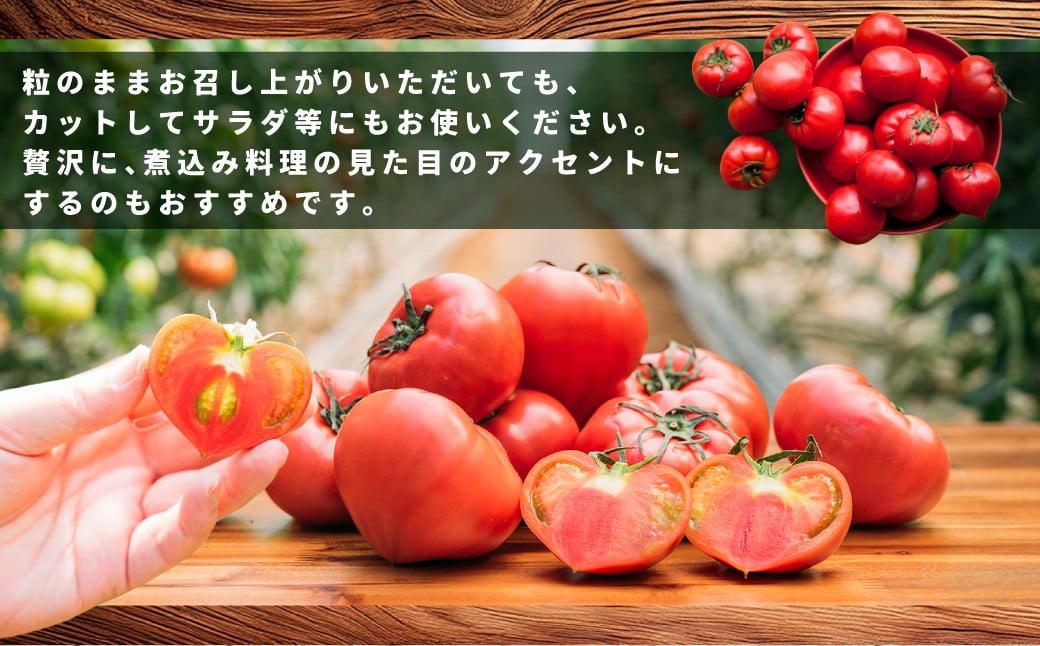 ããããŸãã«ãŒãã£ããã ãç³åºŠ9床以äžã ãäºæã®åæã çŽ300gããã¯Ã2å èšçŽ600g åç²§ç®±Ã1ç®± ïŒ ãã«ãŒãã£ãŒããã ãã«ãŒãããã ããã ãšãŸãš éè ããã ãµã©ã æç ã2026幎3æäžæ¬ïœ5æäžæ¬çºéäºå®ã