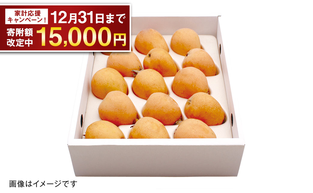 【期間限定！～12月31日まで寄附額改定中】先行予約 茂木 びわ『なつたより』2Lサイズ 15玉入り 【2026年5月下旬～6月上旬迄発送予定】 ／ 果物 くだもの フルーツ 枇杷 ビワ 長崎 川口農園 アフター保証