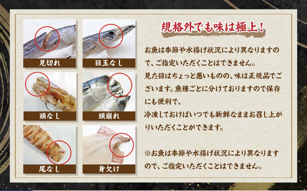 【期間限定！～12月31日まで寄附額改定中】お任せ 訳あり干物24枚 ／ わけあり わけあり 理由あり ひもの 海鮮 魚介 魚 肴 つまみ おかず 長崎県 長崎市