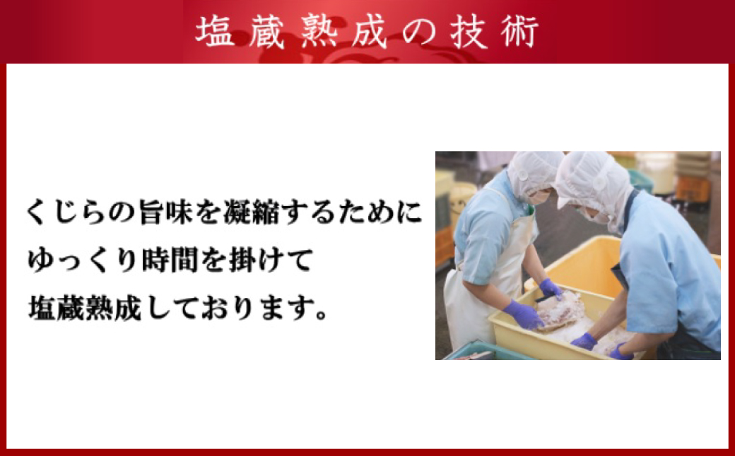 美味しい鯨5種詰め合わせAセット ( 大和煮缶詰170g オバ鯨100g ベーコンブロック100g 湯かけくじら100g さえずりブロック100g ) ／ かけぽん酢 からし酢味噌 クジラ くじら 鯨 おかず ご飯のお供 おつまみ 長崎県 長崎市