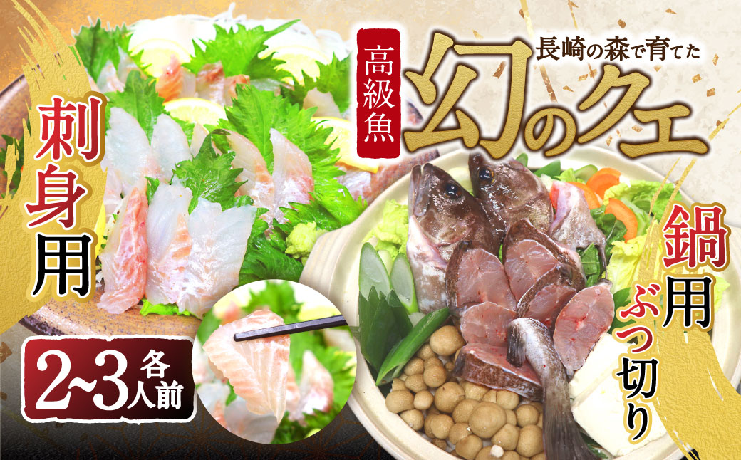 長崎の森で育てた『幻のクエ』【ハーフセット】 刺身用 2〜3人前・鍋用 2～3人前（1kg～2kg前後）／ 海鮮 魚介類 クエ  刺身 鍋 高級魚 長崎産