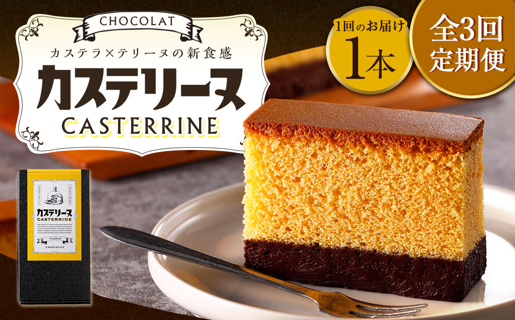 【全3回定期便】長崎カステリーヌショコラ 1本 合計3本 ／ スイーツ デザート カステラ おかし 菓子 おやつ チョコレート ショコラ テリーヌ ご当地スイーツ かすてら テリーヌ 長崎県 長崎市