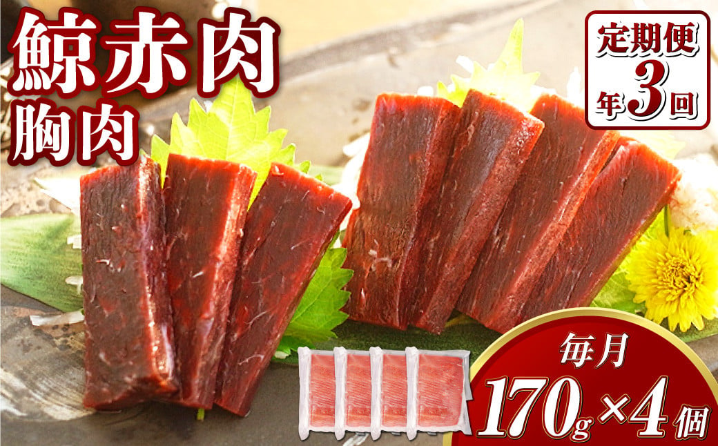 【全3回定期便】 鯨 赤肉 胸肉 170g×4個セット ／ 鯨 くじら クジラ 鯨肉 鯨文化 くじら文化 イワシ鯨 厳選 長崎県 長崎市