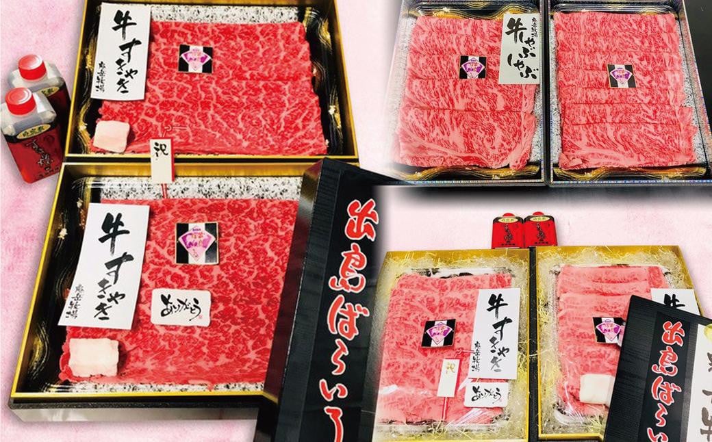 【全3回定期便】長崎和牛 出島ばらいろ レギュラータイプG ／ 和牛 国産 お肉 肉 牛肉 サーロイン ウデまたはモモ すき焼き しゃぶしゃぶ 長崎県 長崎市