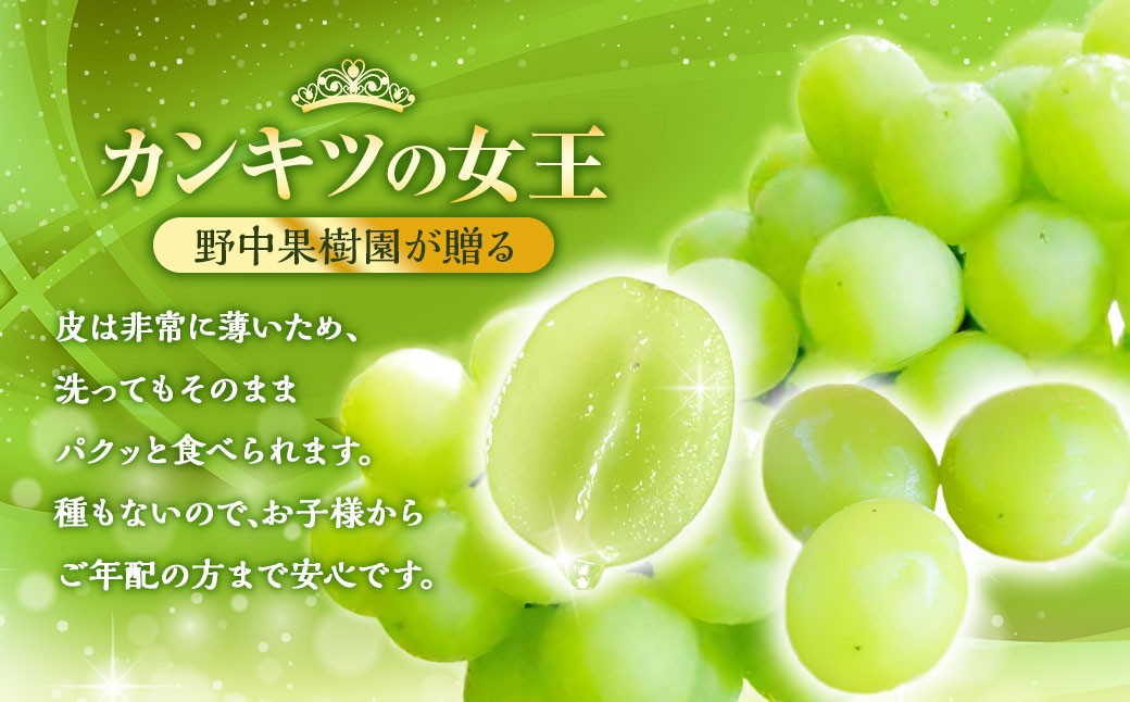 シャインマスカット 約2kg （3～4房） 【2026年8月上旬～下旬発送予定】 ぶどう 甘み くだもの 果物 果実 フルーツ 葡萄 ブドウ マスカット 香り 酸味 果汁 果樹園