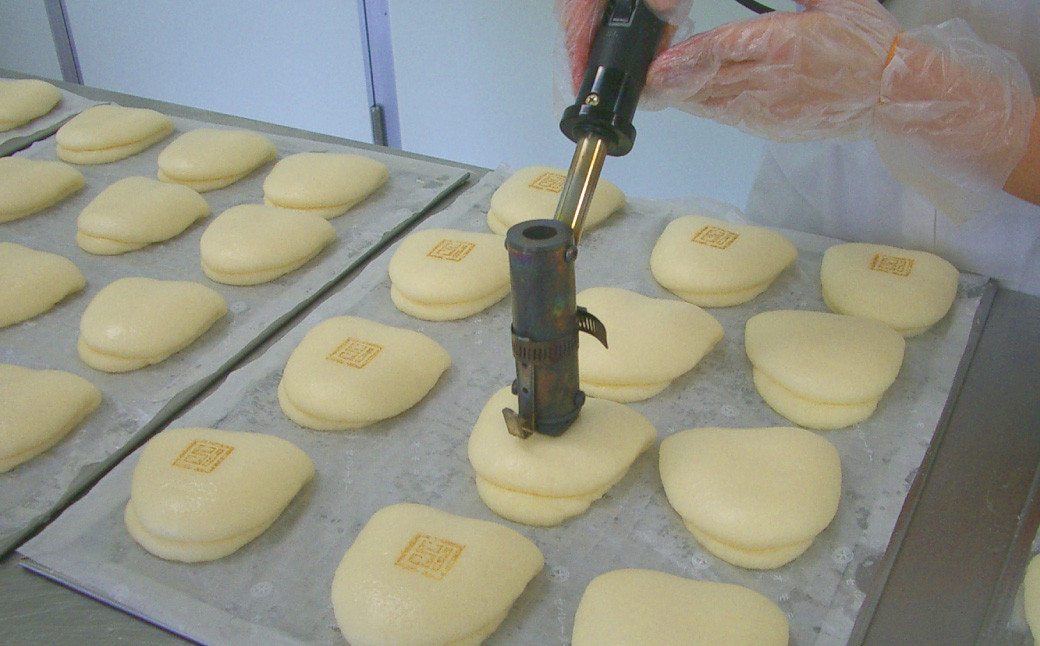 【7営業日以内発送】岩崎本舗 大とろ角煮まんじゅう10個 (箱) ／ 岩崎本舗 角煮まん 角煮饅頭 角煮 豚肉 長崎名物 ご当地グルメ 長崎県 長崎市 スピード発送 早く届く