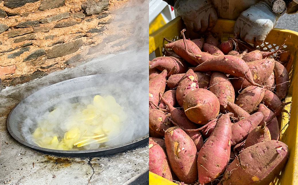 【全3回定期便】外海のかんころ餅 (4種類) 食べ比べ 12本 ／合計36本 和菓子 お菓子 菓子 スイーツ デザート 芋 おやつ 餅 お餅 郷土菓子 長崎県 長崎市