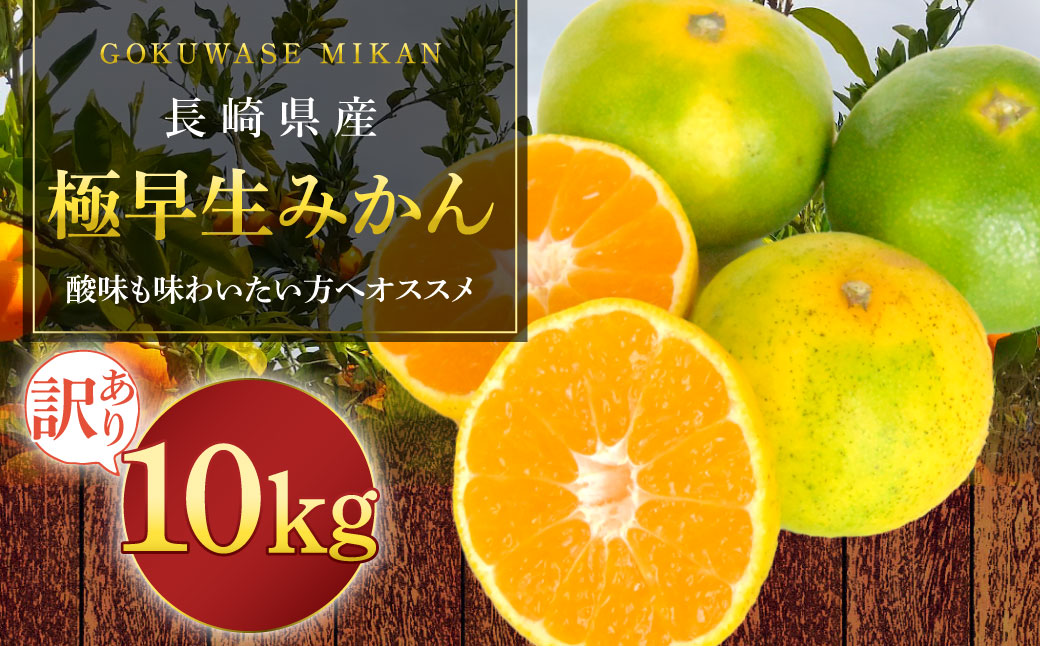 【訳あり】 極早生みかん 10kg ／ 蜜柑 みかん ミカン 果物 果実 フルーツ 訳アリ 理由あり わけあり 九州 長崎県 長崎市 常温 オンライン決済限定 【2025年10月上旬～11月上旬迄発送予定】